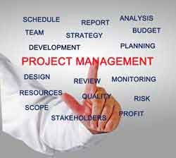 Project management activities: strategy, budget, team, stakeholders, risk